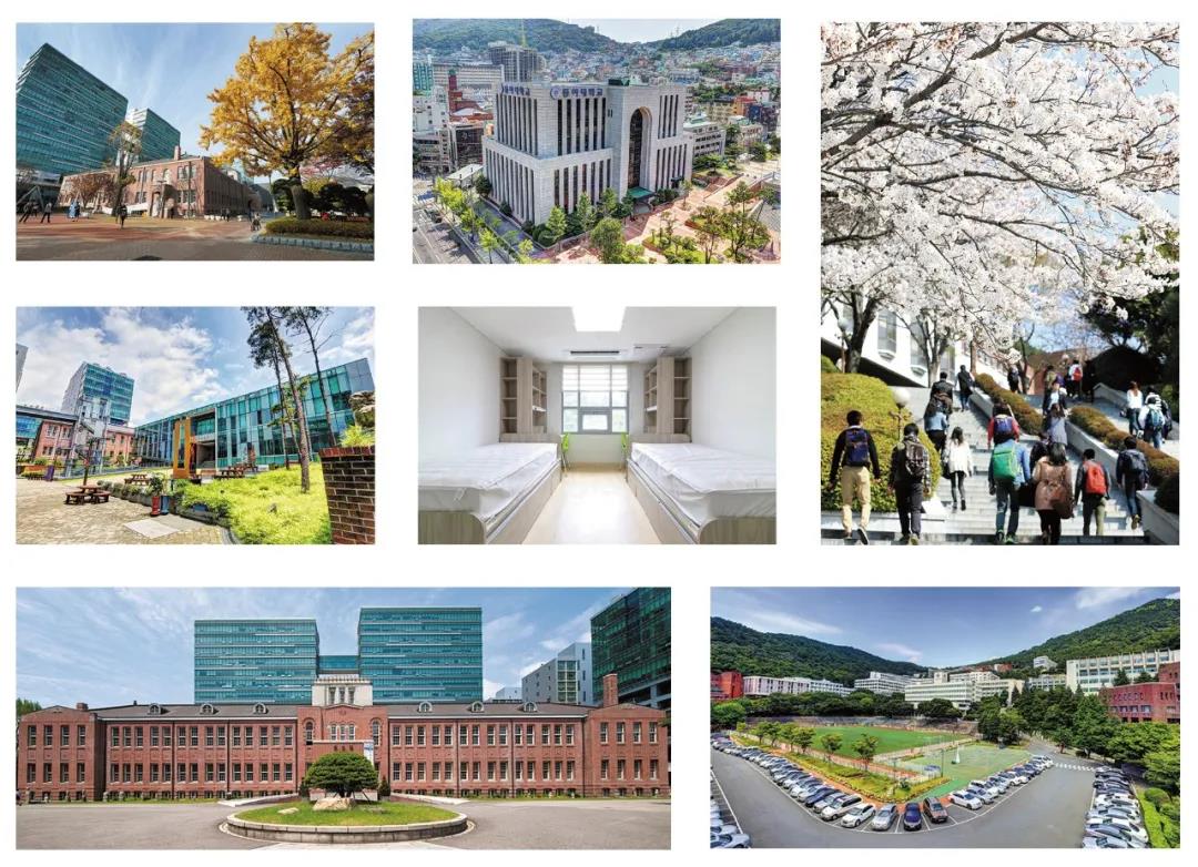 1624586798739436.jpg 1624586798739436.jpg